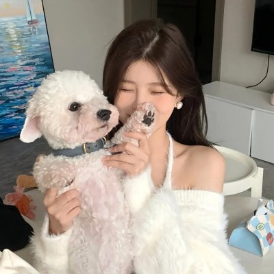 夏日追踪